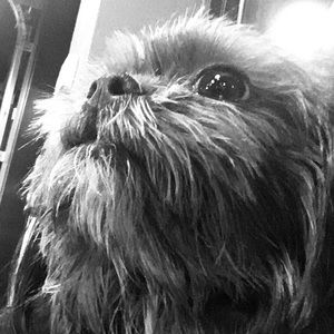 Meet your Posher, V. a.